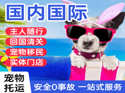 锦州湾空运国际宠物托运 【国